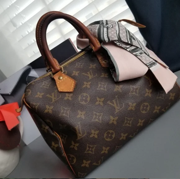 LOUIS VUITTON Classic Speedy25Monogram pr